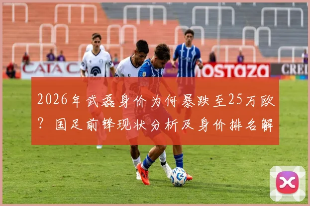 2026年武磊身价为何暴跌至25万欧？国足前锋现状分析及身价排名解读