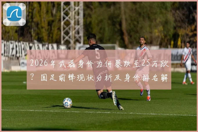 2026年武磊身价为何暴跌至25万欧？国足前锋现状分析及身价排名解读